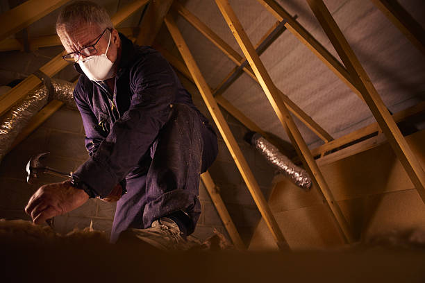 Best Eco-Friendly Insulation in Arma, KS